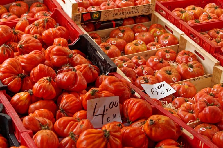 La Tomatina festivali haberi için temsili domates görseli