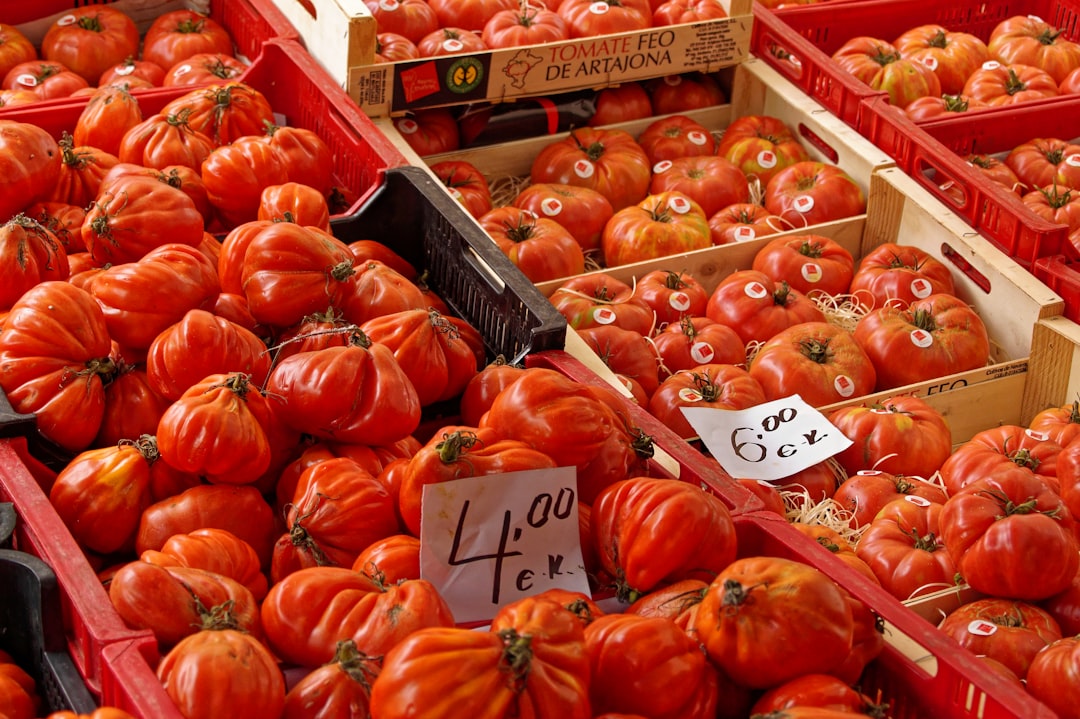 La Tomatina festivali haberi için temsili domates görseli